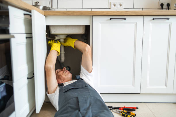Best Drain Cleaning Services  in Hickory Hls, IL